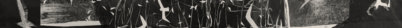 Sue Shields | Printmaker