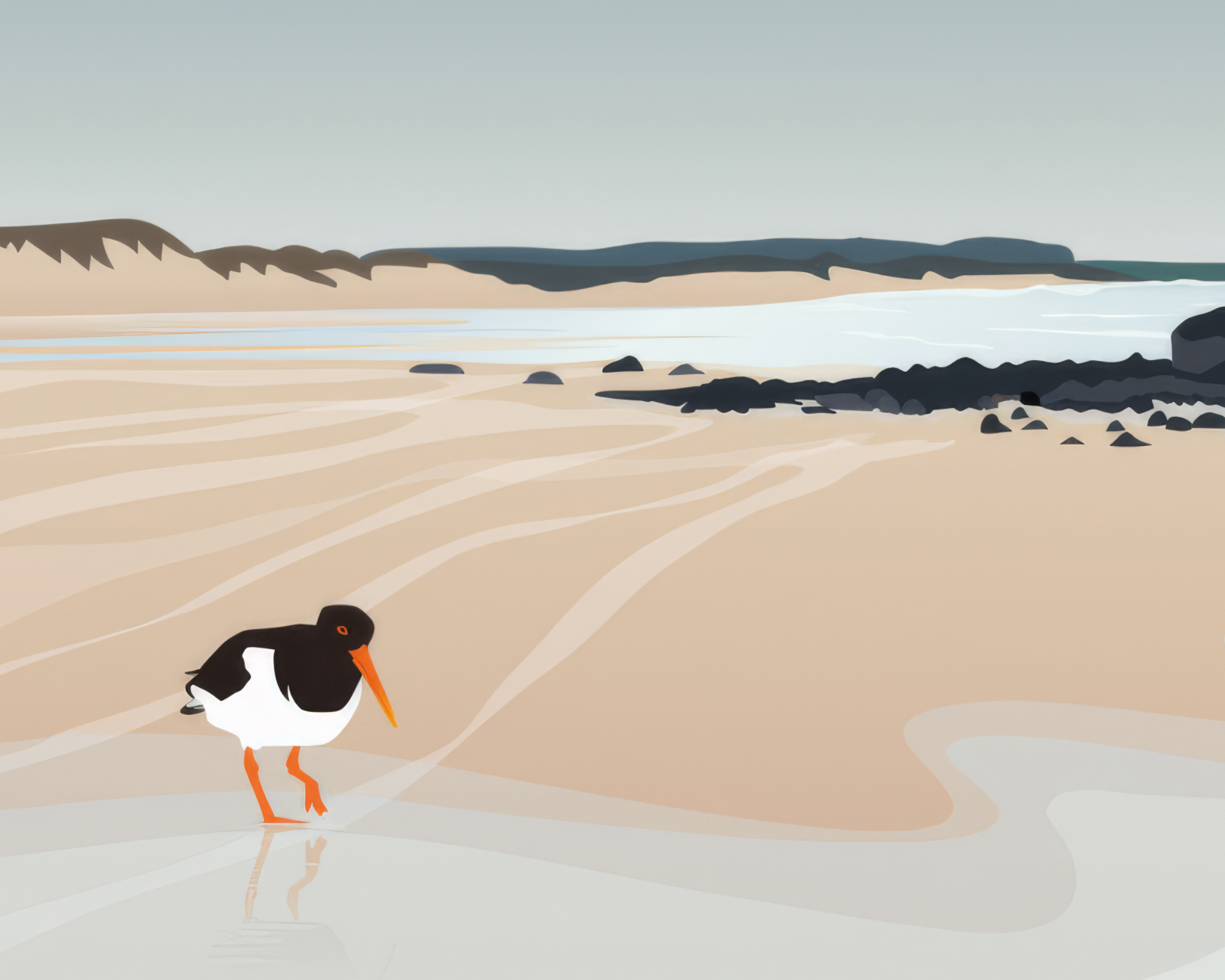 Helen Wyllie | Graphic Designer and Illustrator