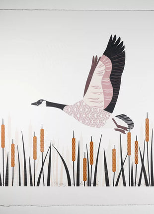 Ashley Hutchinson Flying Canada Goose Framed