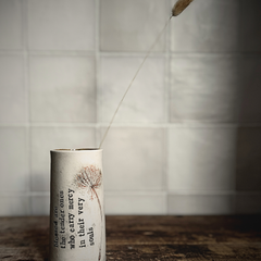 Collection image for: Seatree