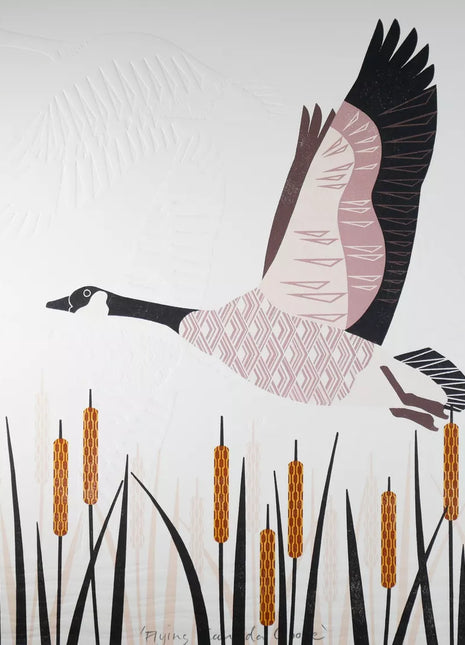 Ashley Hutchinson Flying Canada Goose Framed