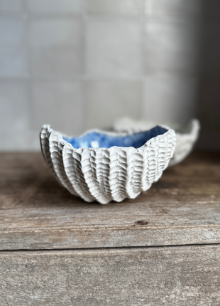 Jackie Hunter Medium Porcelain Bowl Blue Rim