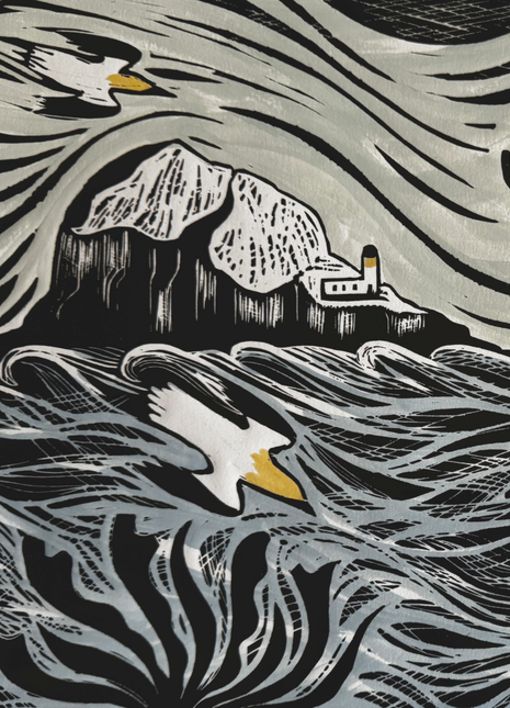 Kate Millbank Diving Gannets Print