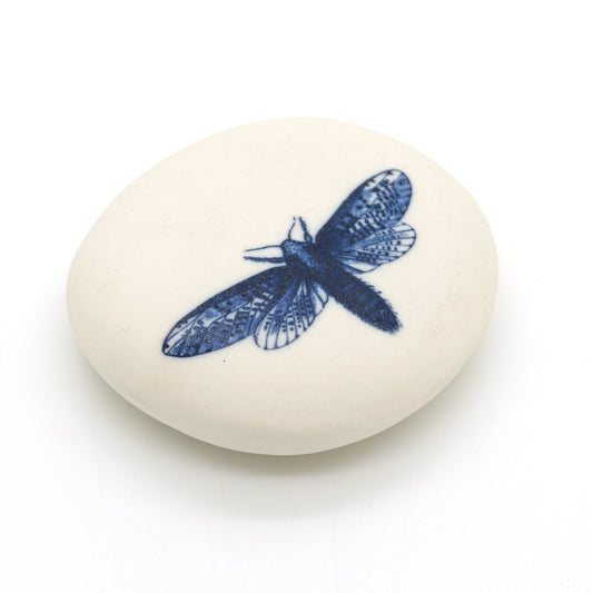 Clare Mahoney - Butterfly Pebble
