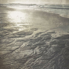 Collection image for: Jill Hodge